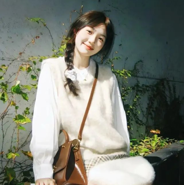 春情妃子